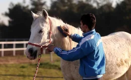 Bursa’da At Üzerinde Akrobasi Yapan Genç Sporcu