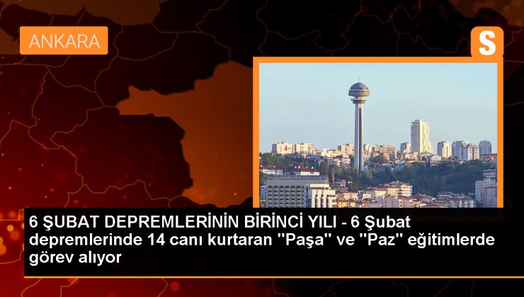 AFAD’ın arama kurtarma köpekleri Paşa ve Paz, enkazlarda canlıları tespit ederek kurtarıyor