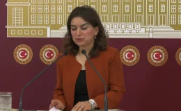 DEM Parti Grup Başkanvekili Gülüstan Kılıç Koçyiğit: 2024 emeklilerin açlık ve sefalet yılı olabilir