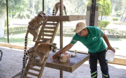 Mersin Büyükşehir Belediyesi Tarsus Doğa Parkı 2023 Yılında Renkli ve Hareketli Geçirdi