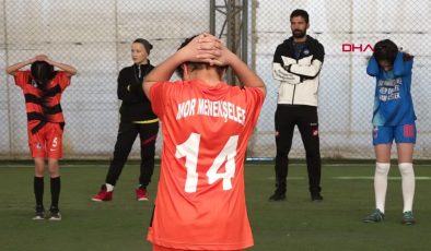Mor Menekşeler Kız Futbol Takımı, Krikette de Başarılı