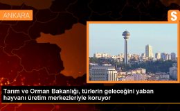 Tarım ve Orman Bakanlığı, Yaban Hayvanlarını Doğal Ortamlarına Bıraktı