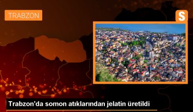 Trabzon’da Somon İşleme Atıklarından Jelatin Üretimi Yapılıyor