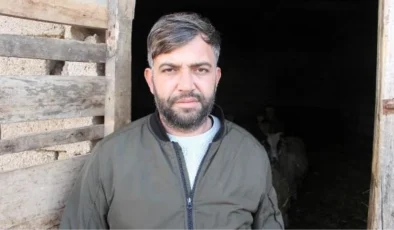 Kurtlar Havsa’da Besicilerin Hayvanlarına Saldırdı