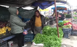 Pazarda maydanoz satarak biriktirdiği kira parası çalınan depremzede kadın ev sahibiyle icralık oldu