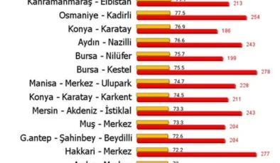 Türkiye’de Hava Kirliliğinin En Yoğun Olduğu 20 Bölge Belirlendi