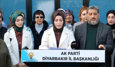 AK Parti Diyarbakır İl Kadın Kolları Başkanı: Kadınlar AK Parti iktidarıyla daha aktif