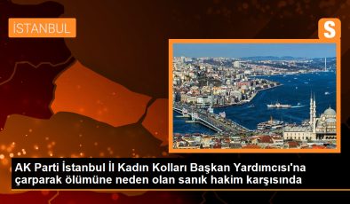 AK Parti İstanbul İl Kadın Kolları Başkan Yardımcısı’nın Ölümüyle Sonuçlanan Kaza Davasında Sanık Hakim Karşısına Çıktı