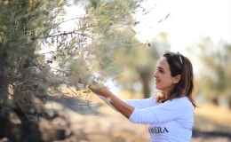 Bahar Alan: Dünya Zeytinyağı Sıralamasında Birincilik Hedefimiz