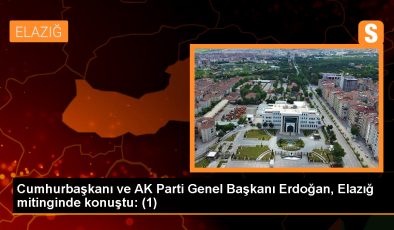 Erdoğan: Emperyalistlerin tetikçiliğini yapan kiralık katil sürülerinin kökünü kurutacağız