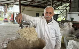 Karadeniz Tarımsal Araştırma Enstitüsünde Kenevir Atıklarından Yakıt Üretildi