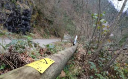 Rize Gürgen Köyü’nde Elektrik Direği Sorunu