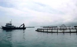 Samsun’da Su Ürünleri Yetiştiriciliği Artıyor