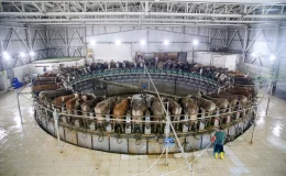 Tarım ve Orman Bakanı Yumaklı: ‘Seçim vaatlerini yerine getirmeyenler dağıldı’