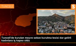 Tunceli’de kurulan tesiste çalışan kadınlar, kurutulmuş meyve ve sebzeleri satarak kazanç sağlıyor