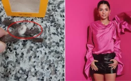 Çikolata tartışması alevleniyor! Skandal paylaşımını silen Patiswiss CEO’sunda art arda yeni açıklamalar