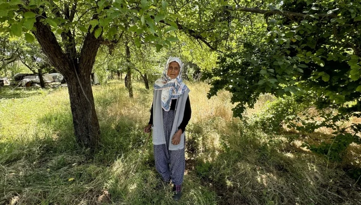 104 Yaşındaki İmoş Biçki, Bahçesinde Sebze ve Meyve Yetiştiriyor