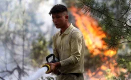 Bursa Valiliği Ormanlara Girişi Yasakladı