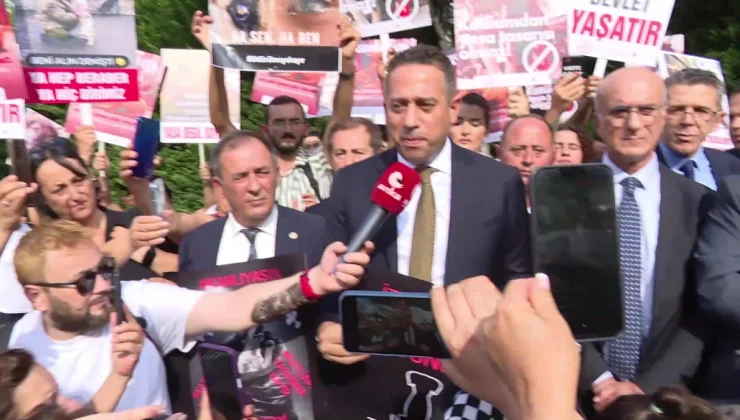 CHP ve İYİ Parti, Hayvanları Koruma Kanunu’nda Değişiklik Yapılmasına Dair Kanun Teklifi’ni Protesto Etti