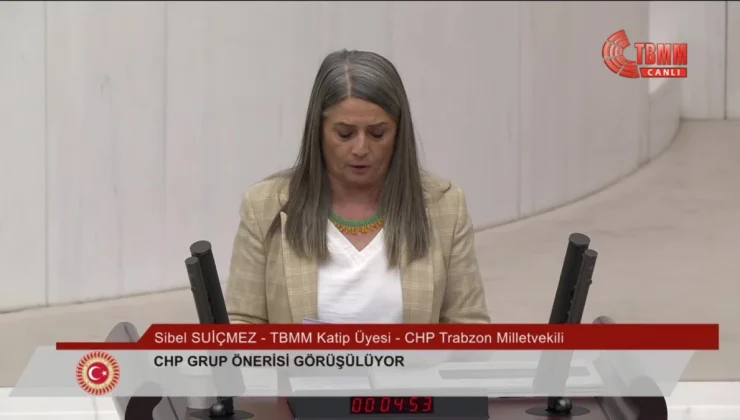 CHP’nin ‘Hayvan Haklarının Korunmasında Ortaya Çıkan Sorunların Tüm Yönleriyle Araştırılması’ Önerisi Reddedildi
