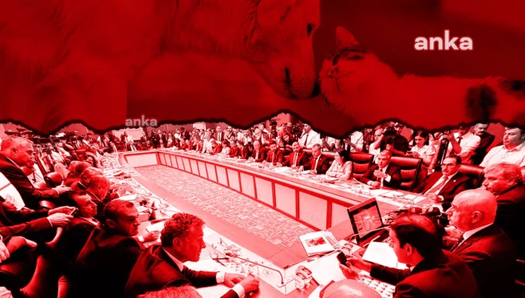 Hayvanları Koruma Kanunu’nda Değişiklik Yapılmasına Dair Kanun Teklifi Kabul Edildi