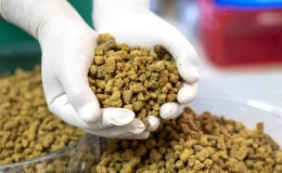 Mersin Büyükşehir Belediyesi, yemek atıklarından mama üretimine başladı