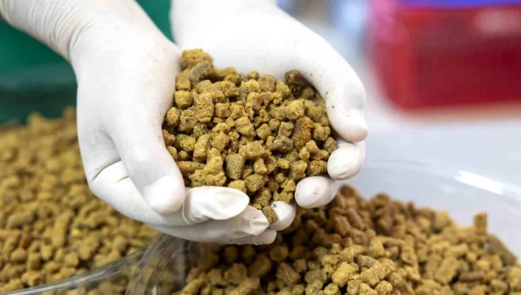 Mersin Büyükşehir Belediyesi, yemek atıklarından mama üretimine başladı