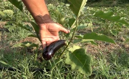 Zonguldak’ta Ziraat Odası Başkanı Gençleri Tarıma Yönlendiriyor