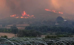 4 ilde orman yangını! Alevlerin ilerlediği ev ve iş yerleri tahliye edildi